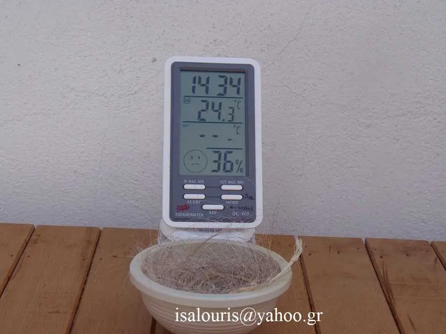 Συνημμένη εικόνα 49955