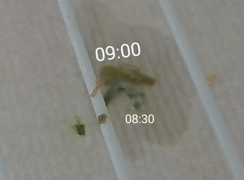 Συνημμένη εικόνα 50251