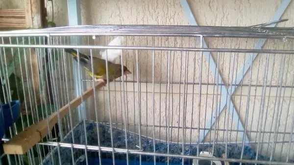 Συνημμένη εικόνα 50279