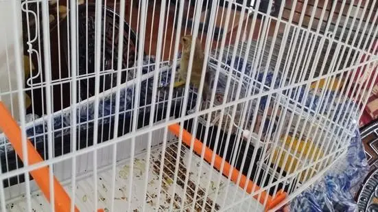 Συνημμένη εικόνα 50411