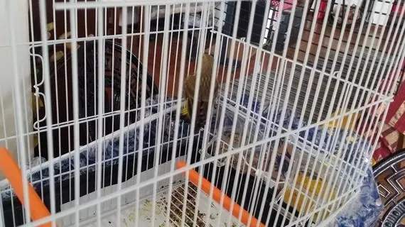 Συνημμένη εικόνα 50413