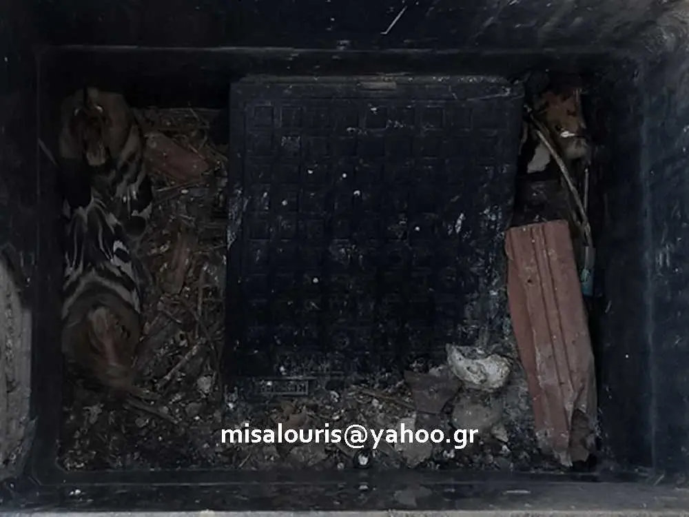 Συνημμένη εικόνα 50582