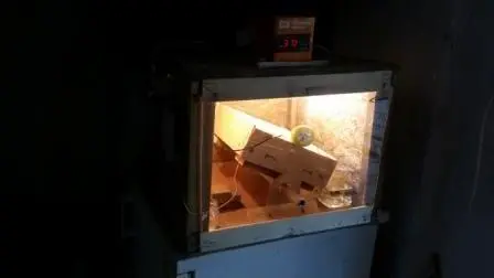 Συνημμένη εικόνα 50747