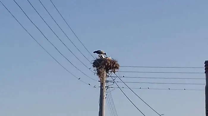 Συνημμένη εικόνα 50765