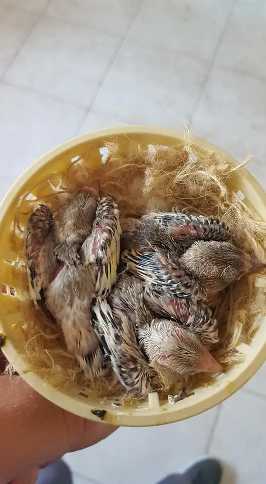 Συνημμένη εικόνα 50946