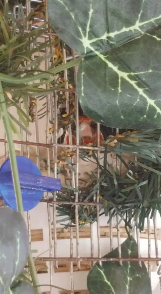 Συνημμένη εικόνα 50950