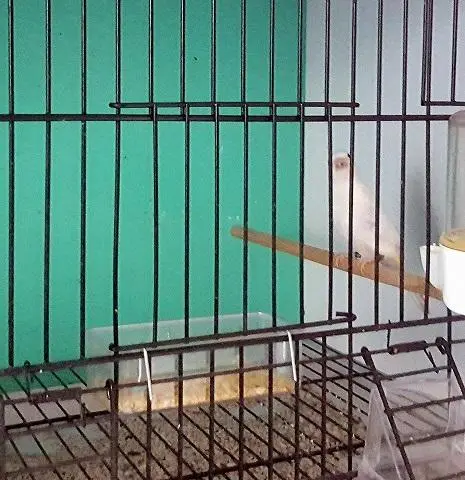 Συνημμένη εικόνα 51118