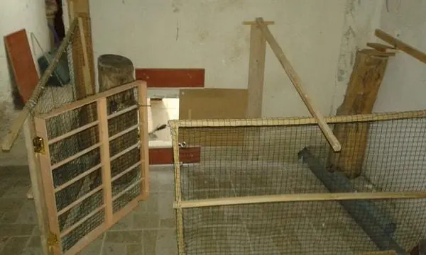 Συνημμένη εικόνα 51571