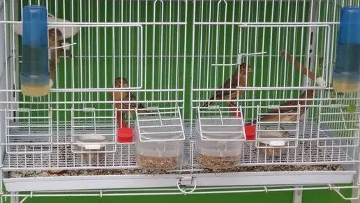 Συνημμένη εικόνα 51589