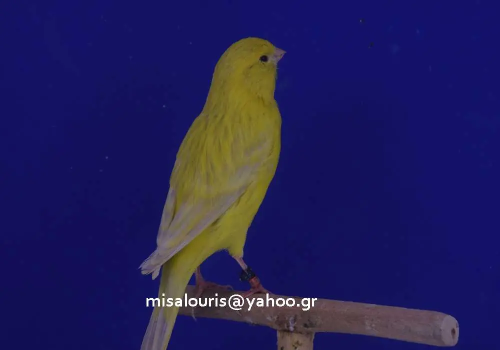 Συνημμένη εικόνα 52076