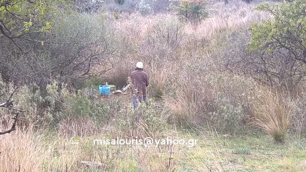 Συνημμένη εικόνα 52175