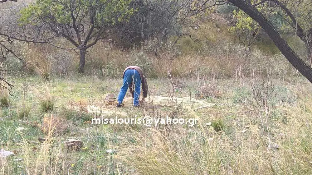 Συνημμένη εικόνα 52177