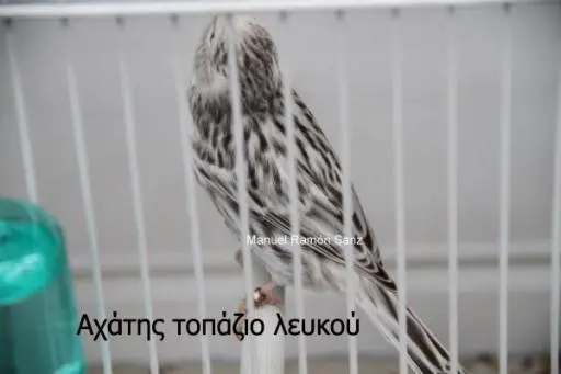 Συνημμένη εικόνα 52298