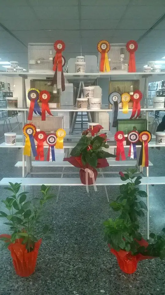 Συνημμένη εικόνα 52348