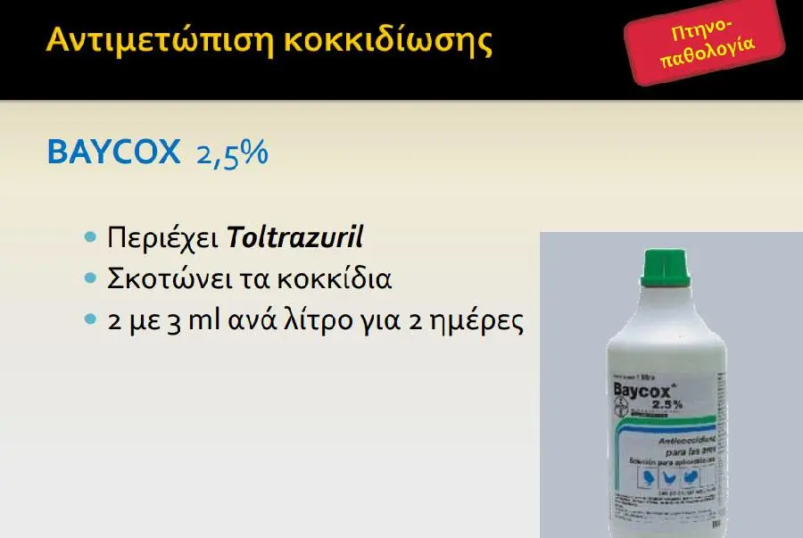 Συνημμένη εικόνα 52507