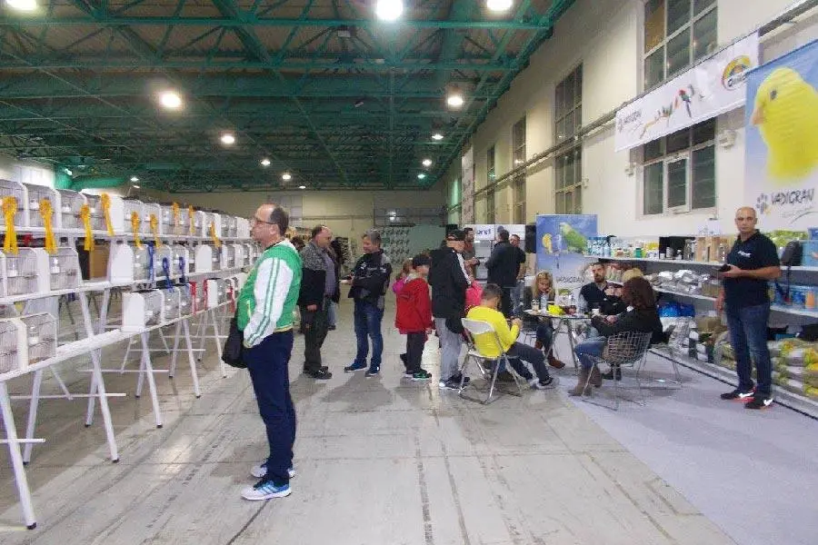 Συνημμένη εικόνα 52539