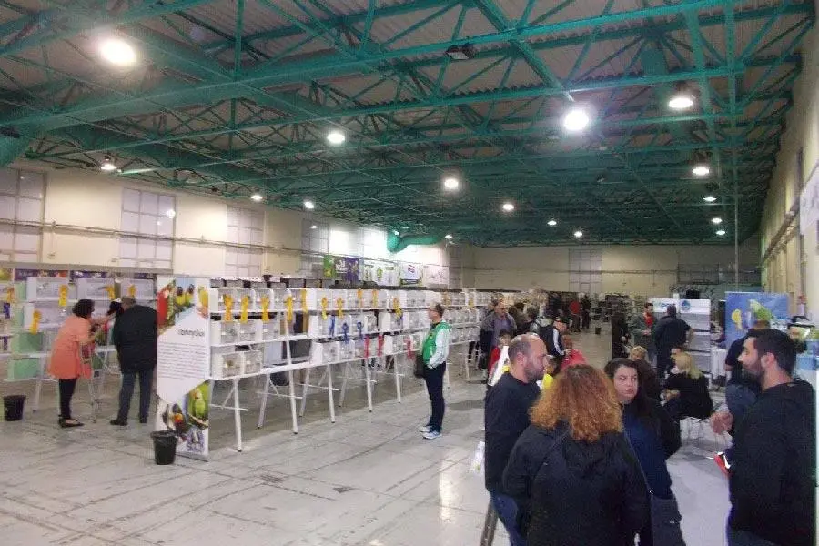 Συνημμένη εικόνα 52546