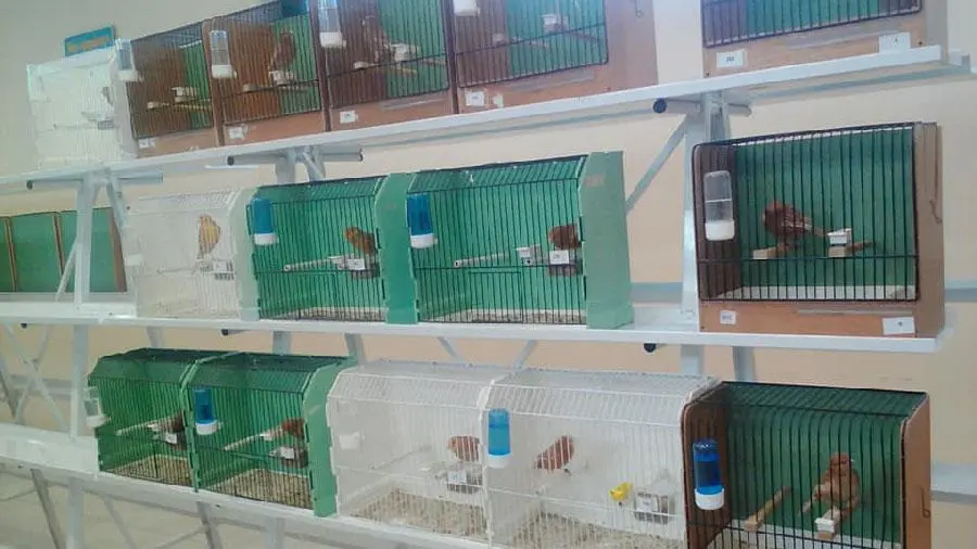 Συνημμένη εικόνα 52620