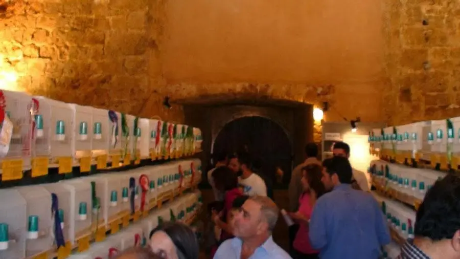 Συνημμένη εικόνα 52630