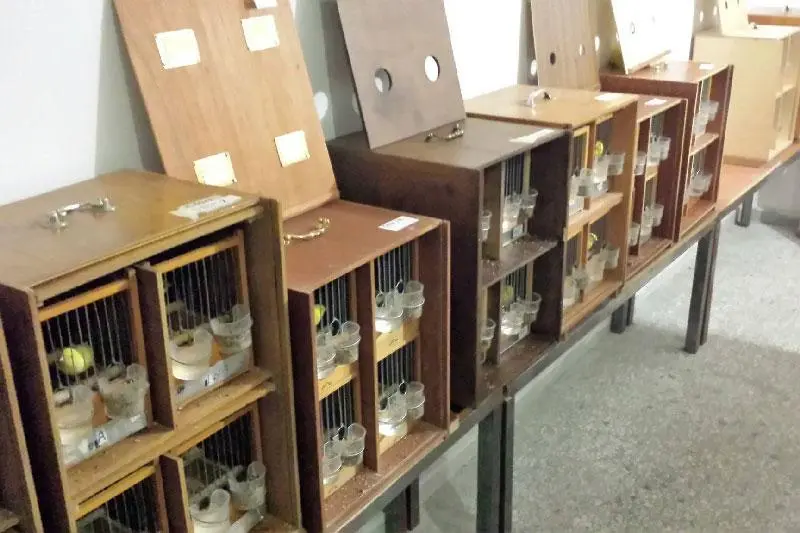 Συνημμένη εικόνα 52646