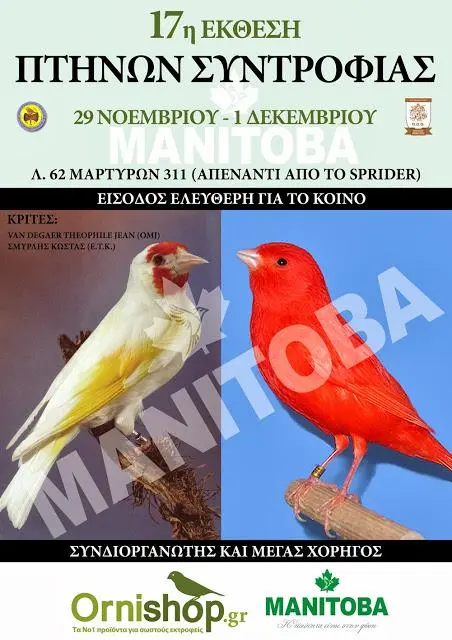 Συνημμένη εικόνα 52651