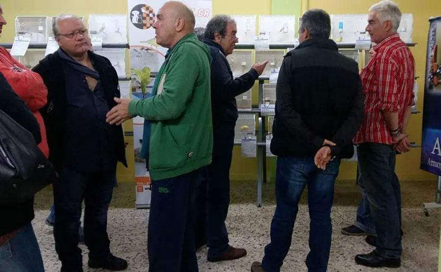 Συνημμένη εικόνα 52739
