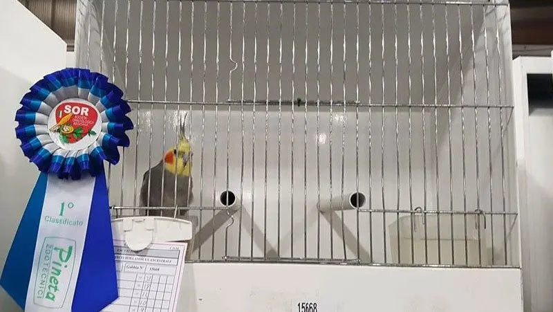 Συνημμένη εικόνα 52767