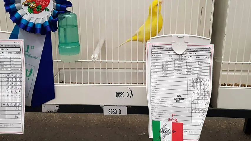 Συνημμένη εικόνα 52781