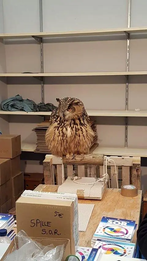 Συνημμένη εικόνα 52790