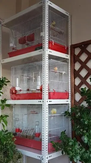 Συνημμένη εικόνα 52870