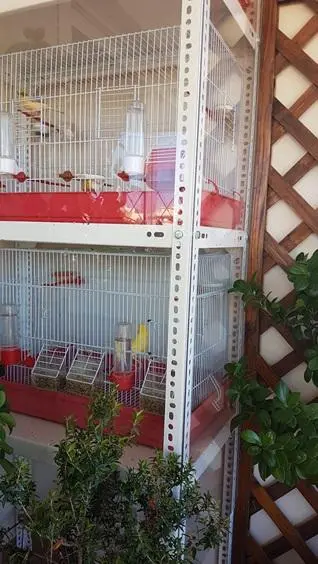 Συνημμένη εικόνα 52872