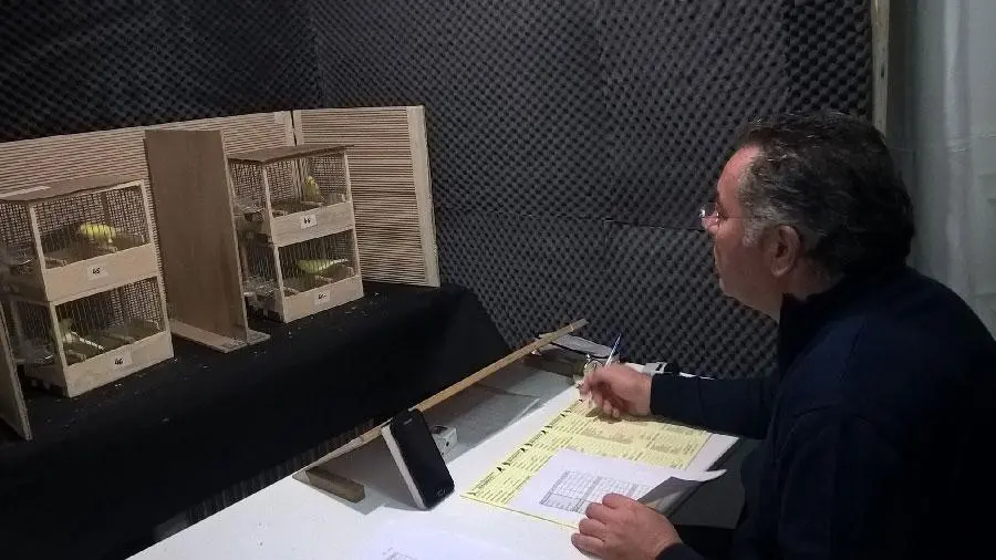Συνημμένη εικόνα 53005