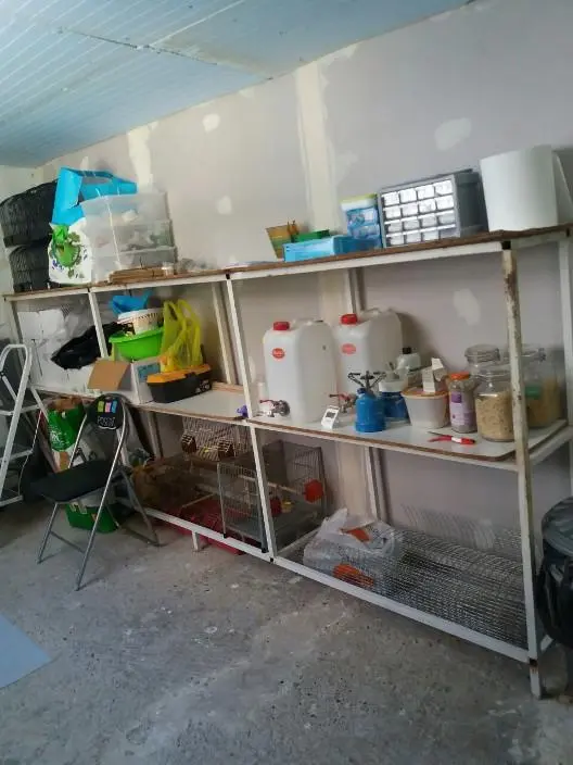 Συνημμένη εικόνα 53101