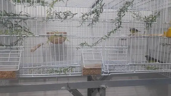Συνημμένη εικόνα 53166