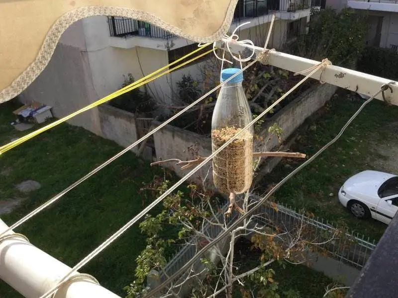 Συνημμένη εικόνα 53203
