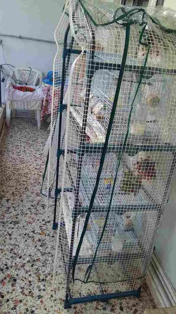Συνημμένη εικόνα 53297