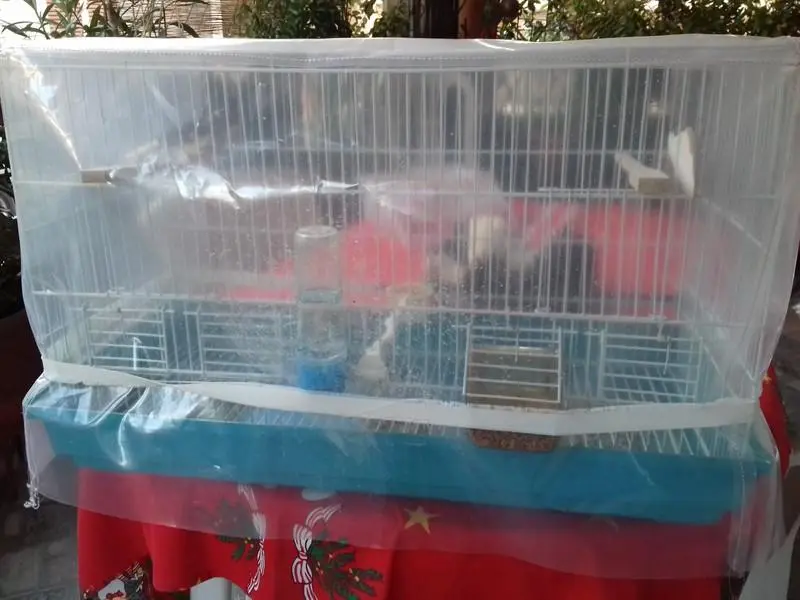 Συνημμένη εικόνα 53303