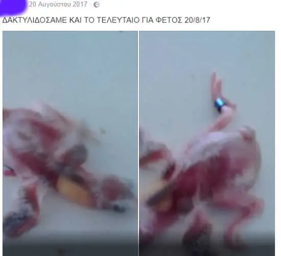 Συνημμένη εικόνα 53509