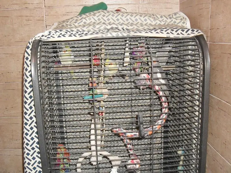 Συνημμένη εικόνα 53719