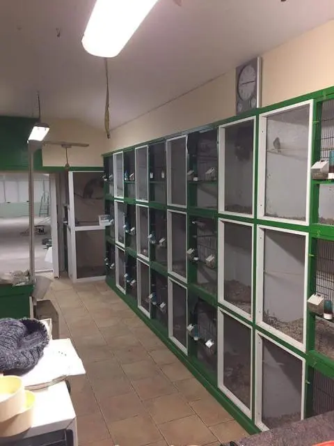 Συνημμένη εικόνα 54091