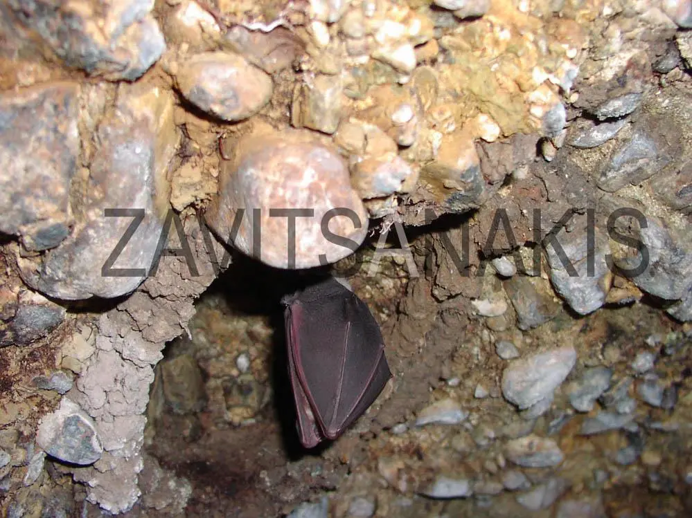 Συνημμένη εικόνα 54135