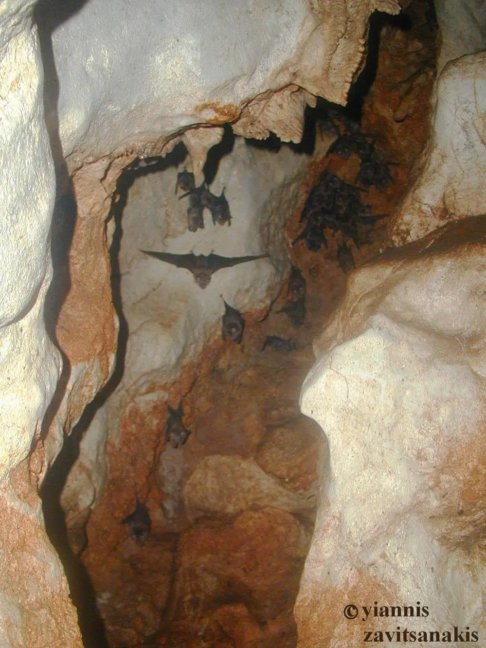 Συνημμένη εικόνα 54138