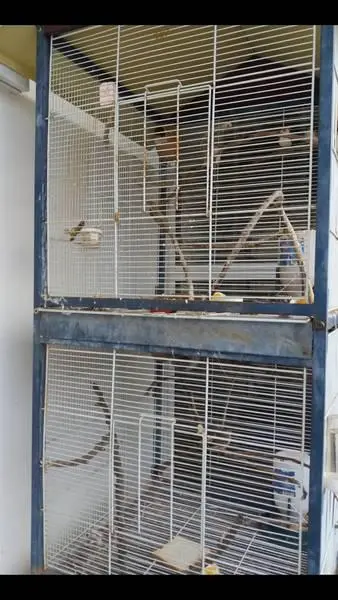 Συνημμένη εικόνα 54187