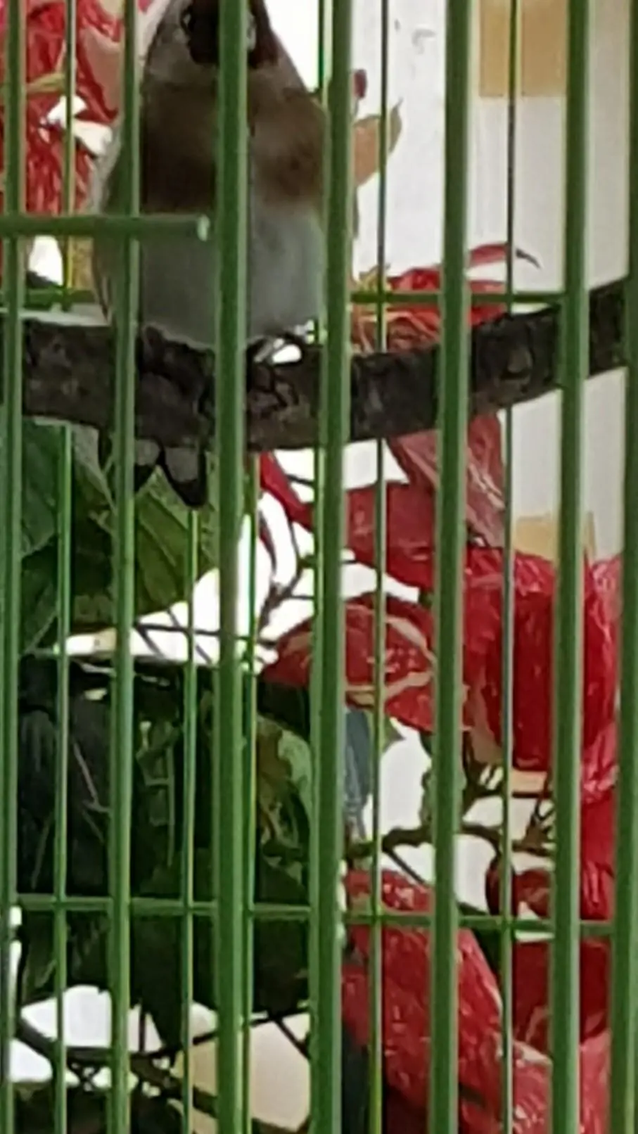 Συνημμένη εικόνα 55047