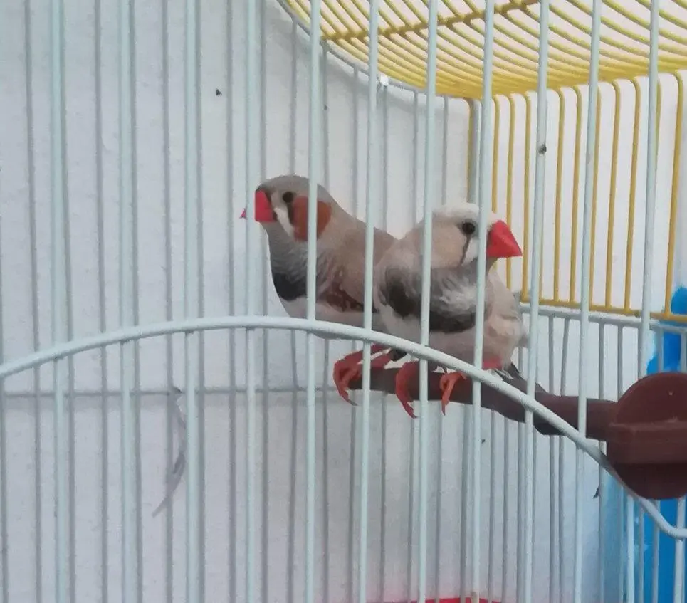 Συνημμένη εικόνα 55849