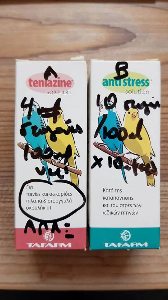 Συνημμένη εικόνα 55910