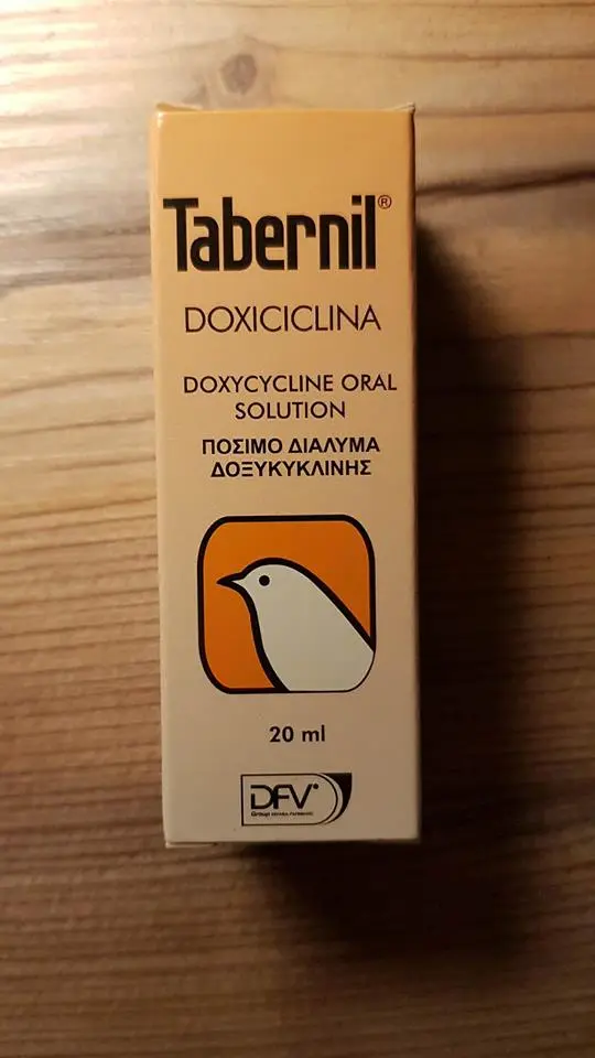 Συνημμένη εικόνα 55930