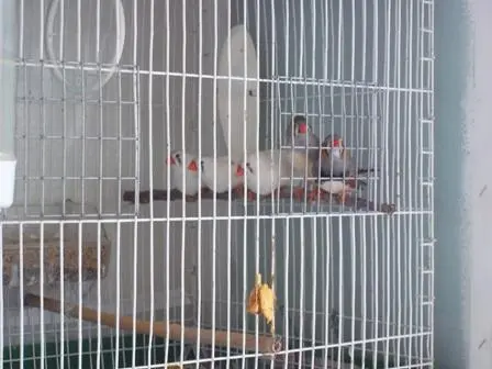 Συνημμένη εικόνα 56024