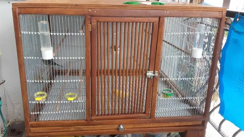 Συνημμένη εικόνα 56327