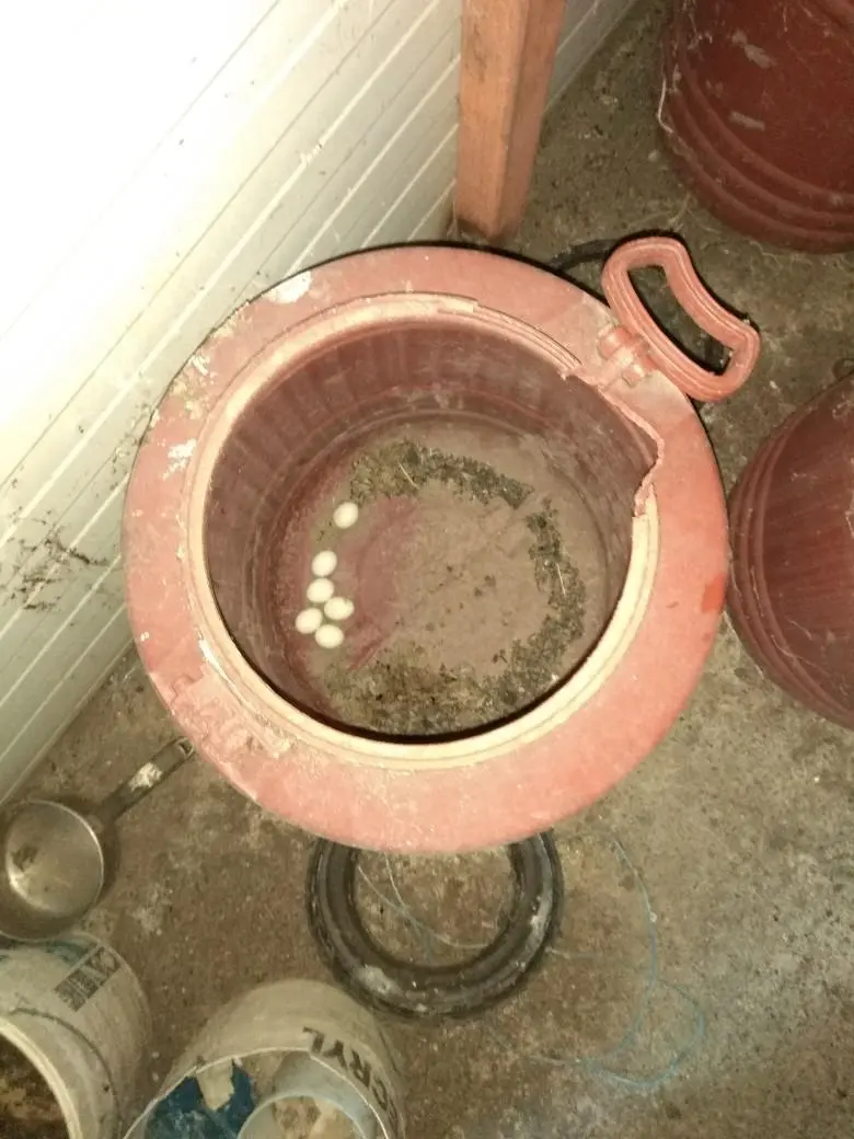 Συνημμένη εικόνα 56541